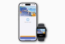 How to Add Your Driver's License or ID to Apple Wallet